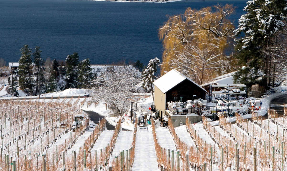 BritishColumbia.com tweet media