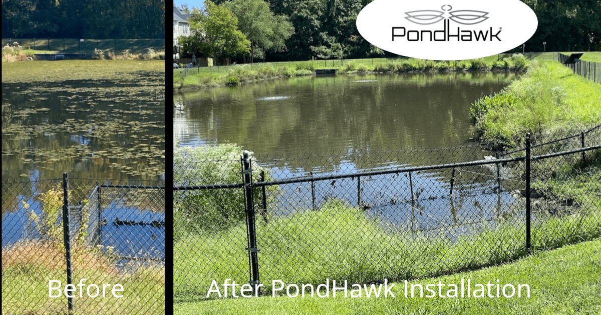 PondHawk by LINNE Industries tweet media