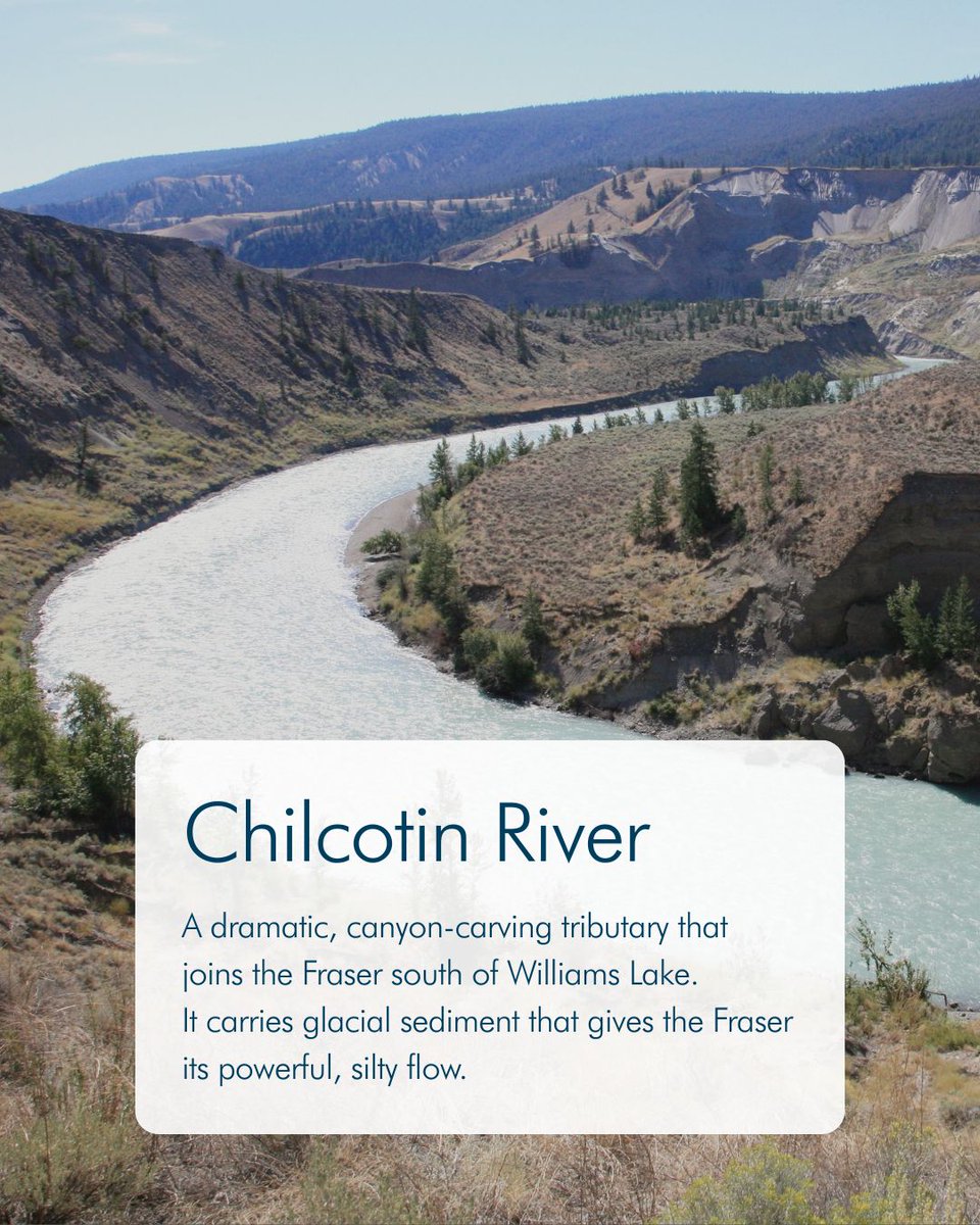 thefrdc's tweet photo. The #FraserRiver isn’t just one river, it’s connected to hundreds of tributaries across BC. 🌊

A #tributary is a smaller river or stream that flows into a larger river, helping shape water levels, habitats, and the health of the entire watershed. 

Meet a few of them here! https://t.co/RMOmGGEi0o