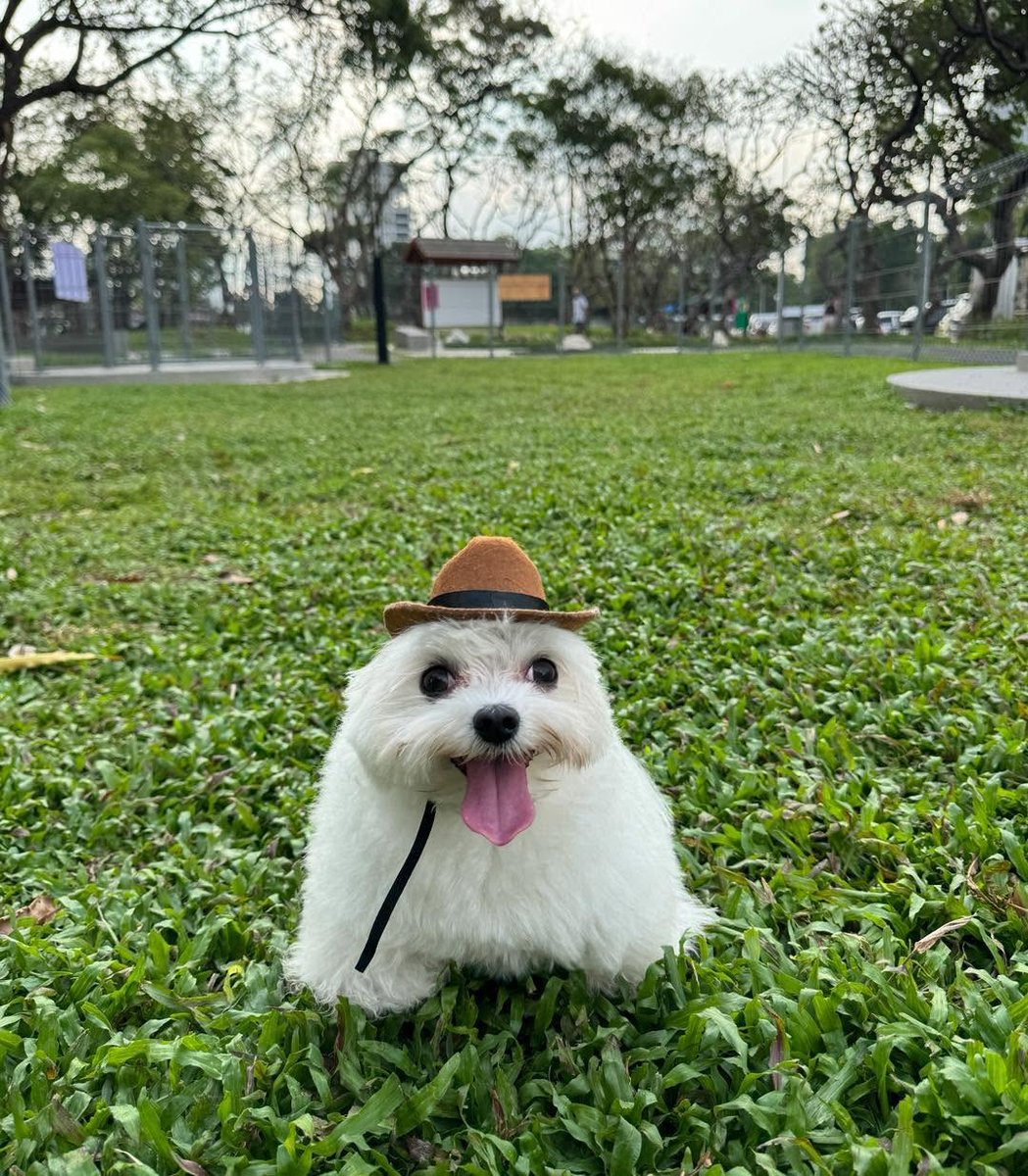 LFT FS EMEA preferably High Advanced

GM4 peak
Always available

-Really want to improve and get coached
-Promoted to advanced in season 6 with crabs, took a break for season 8 so motivated to grind again
-I wouldn't mind to be 6th

Discord: dokexu