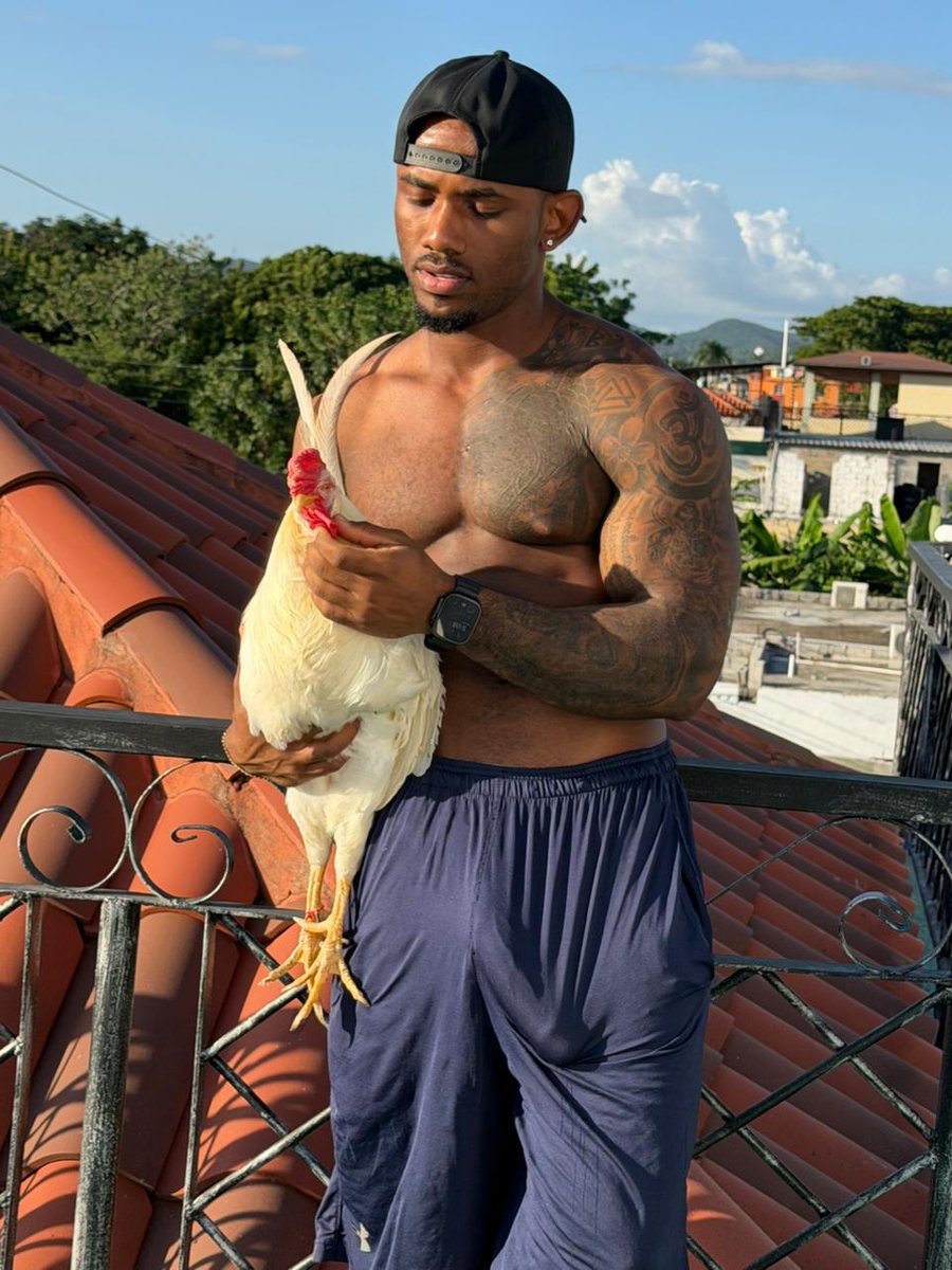 kacharpoXL's tweet image. would you pet him ?