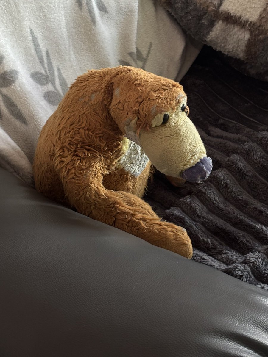 Bear Honey (@BaDameIshaBEAR) / Posts / X