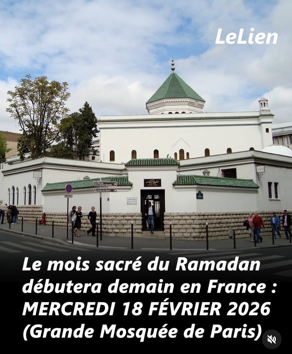 Nedj 💭 tweet media