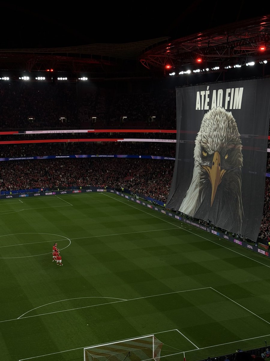 lia⸆⸉ biaz hateclub tweet media