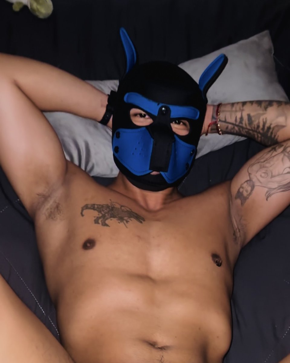 Un dinosaurio más tweet media