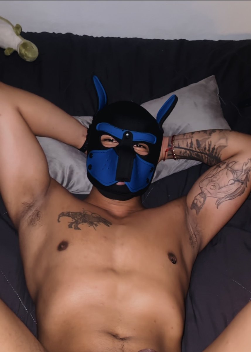 Un dinosaurio más tweet media