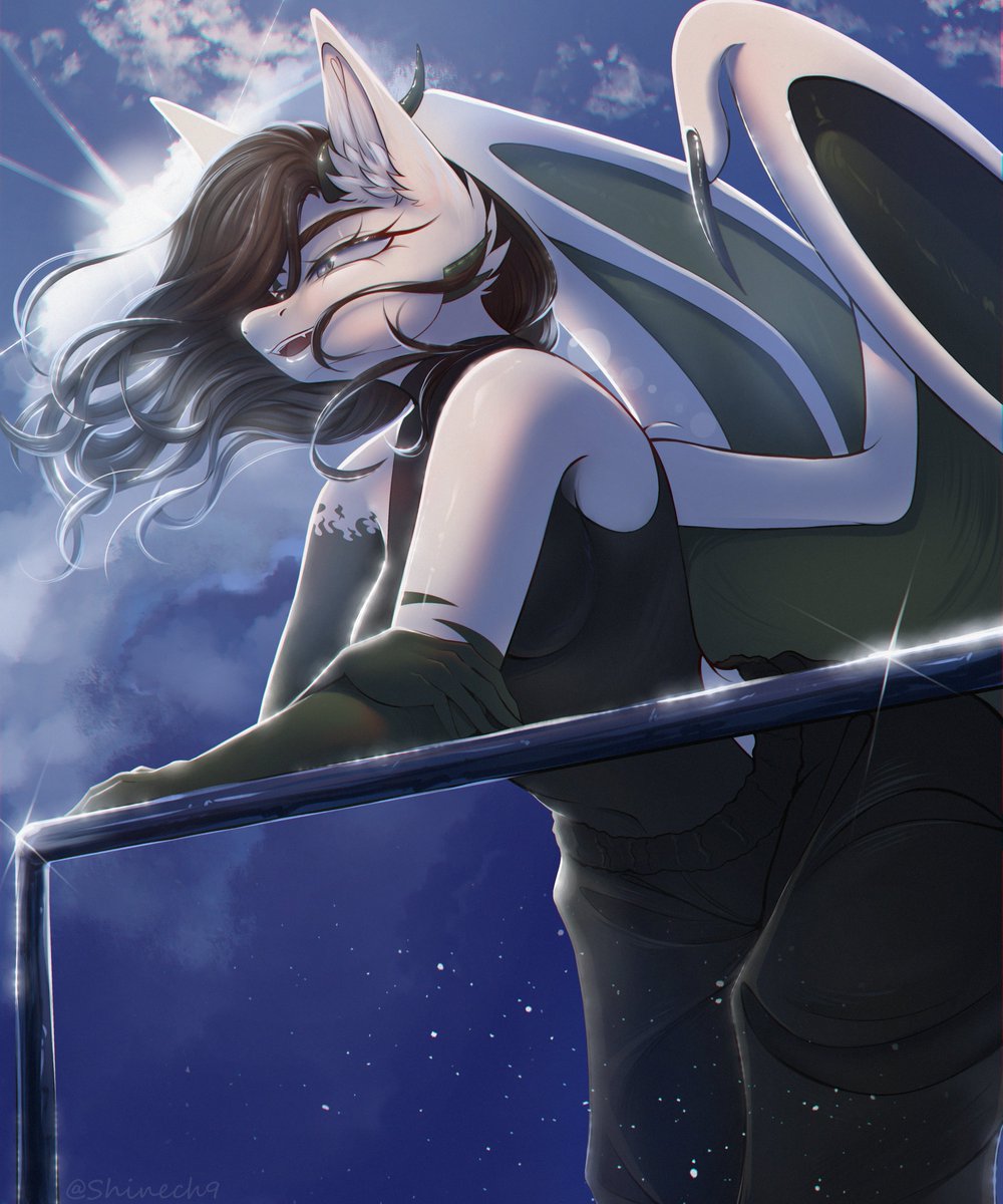 Shinech 🔞 tweet media