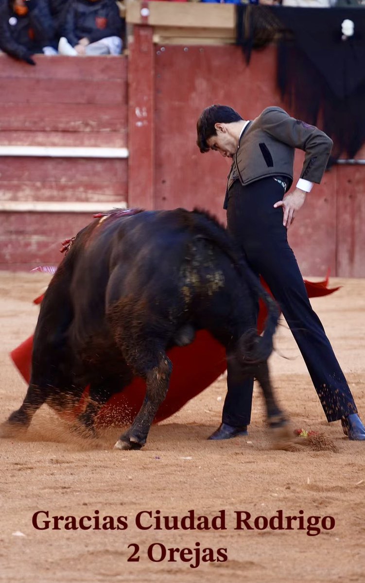 Manuel Diosleguarde tweet media