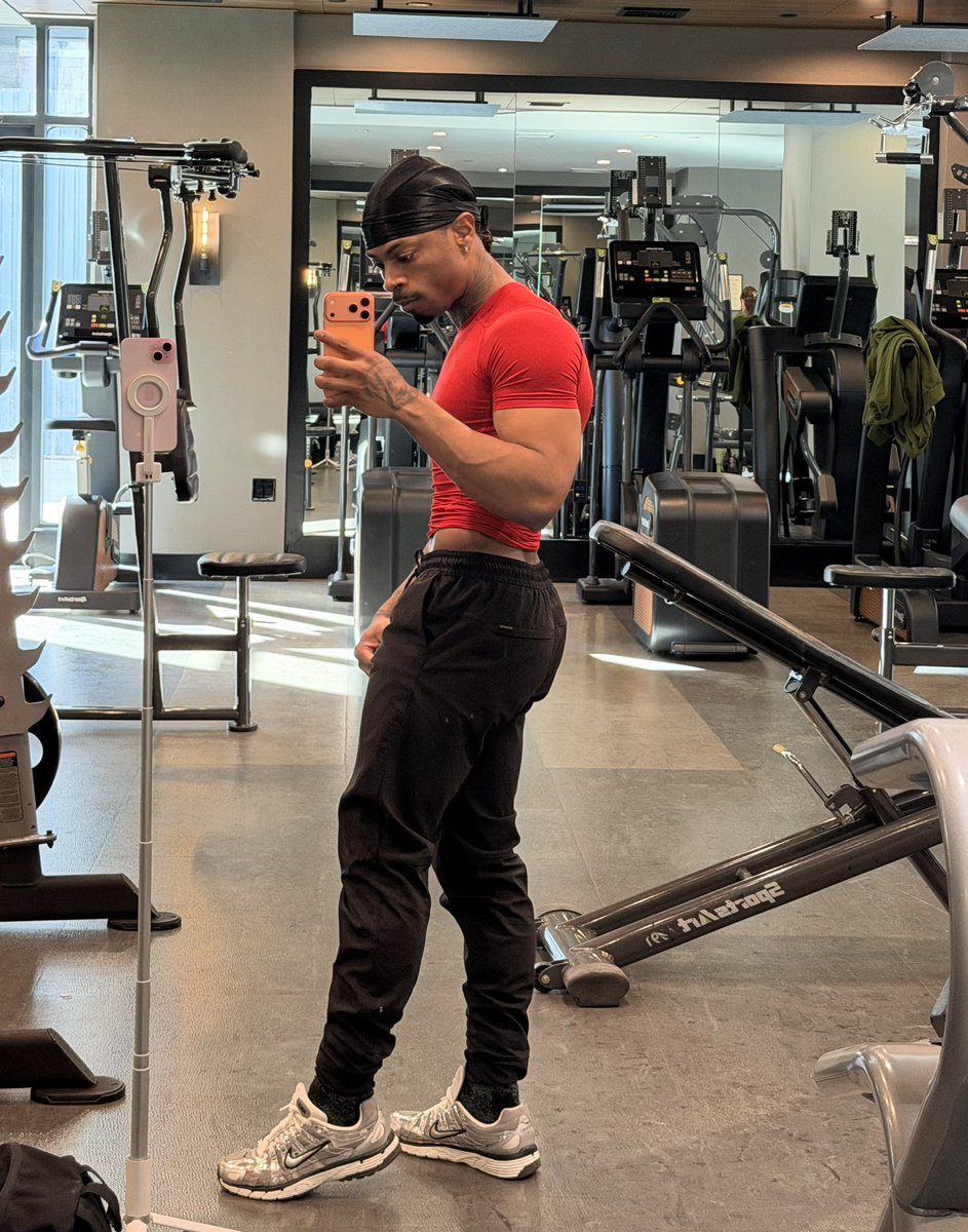 𝐛𝐫 fenix tweet media