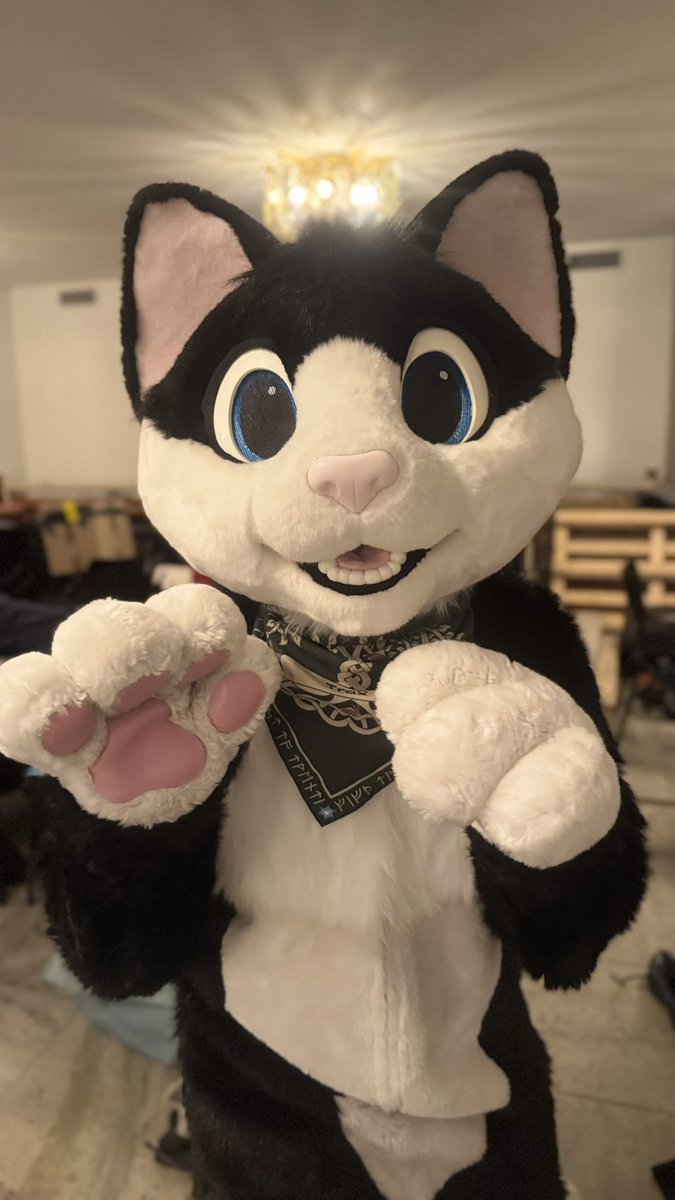 TEDDY_FUR's tweet image. 💕💕💕 super cuteeeeeeeee

#teddy_fur
#nfc 
#NFC2026