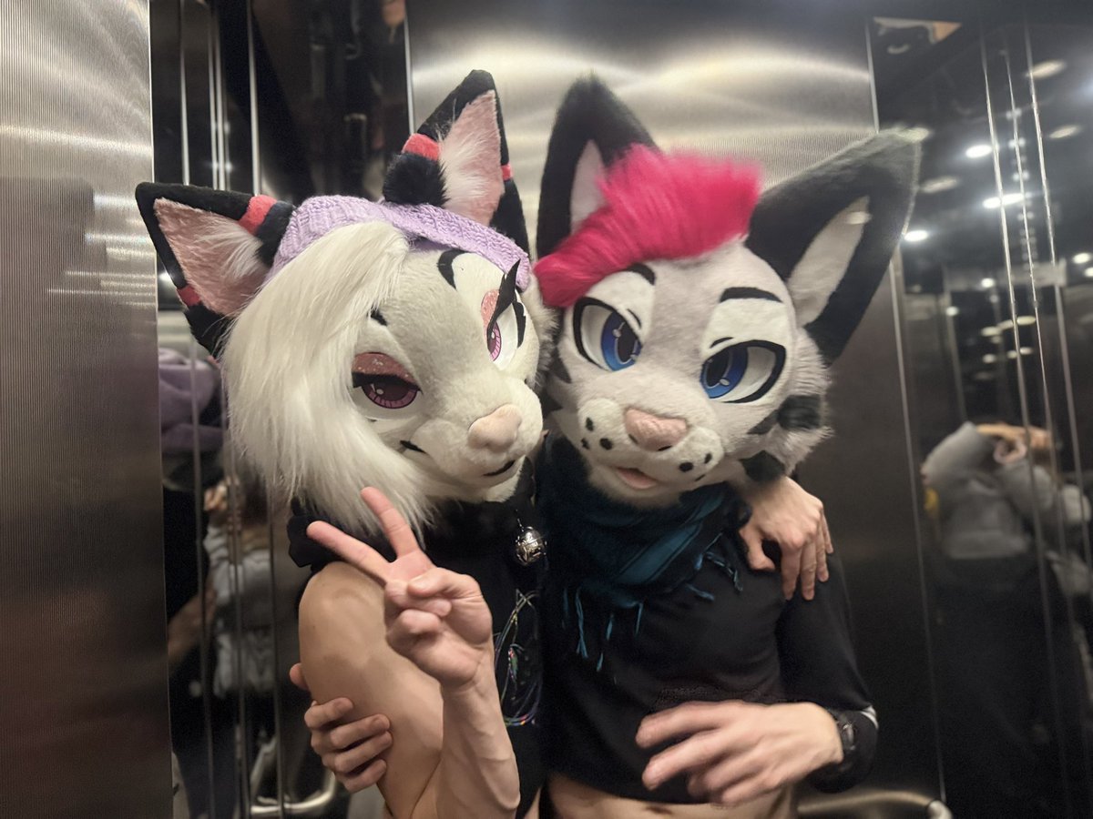 TEDDY_FUR's tweet image. 💕💕💕 super cuteeeeeeeee

#teddy_fur
#nfc 
#NFC2026