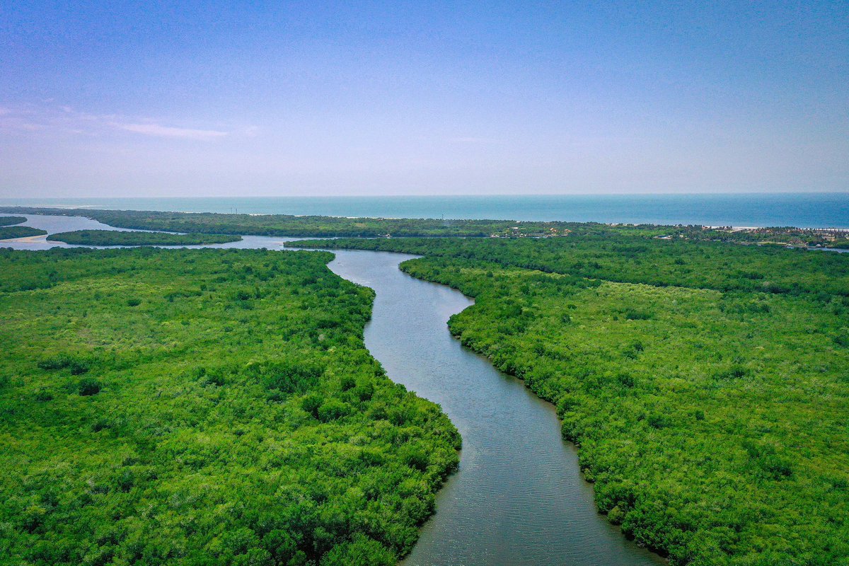 Fernando López 🇸🇻 tweet media