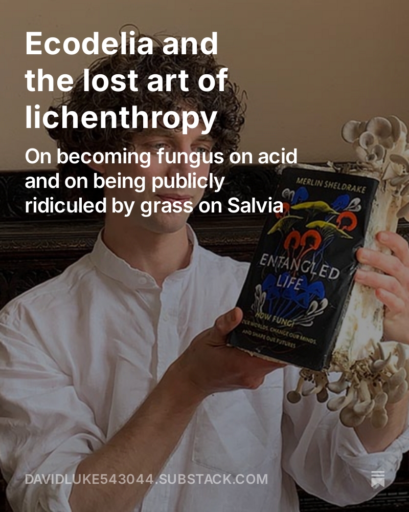 David Luke tweet media