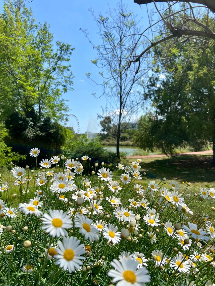 greenvibe's tweet image. 