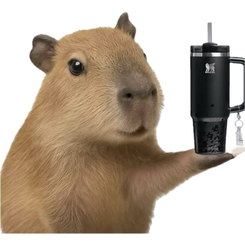 EmmaIsACapy 🧛🏻‍♀️ tweet media