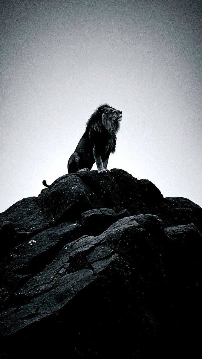 "Aslan yaralı da olsa aslandır."