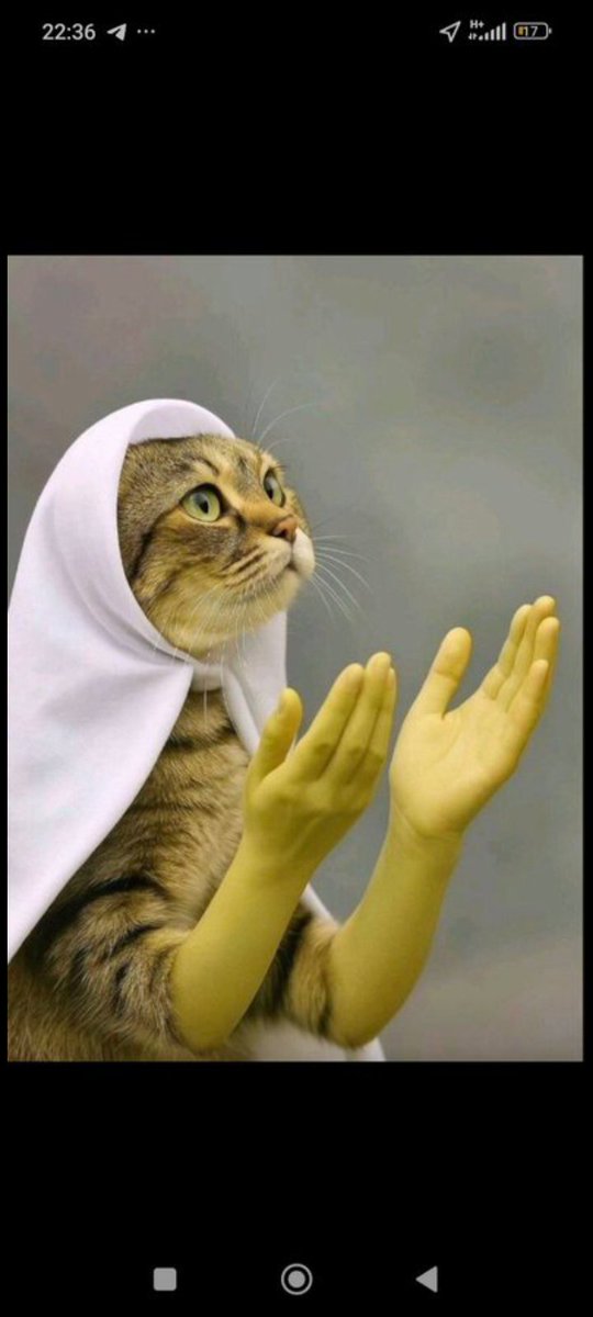 Emasco11's tweet image. I'm about 5 hours late but let me still try my luck, the 20k would feed me and my brothers for about 2 weeks.

It would really do a lot for me including transportation to work. 
2240253495 UBA
Emmanuel 

Thanks so much bro 🙏 @kvng_capable