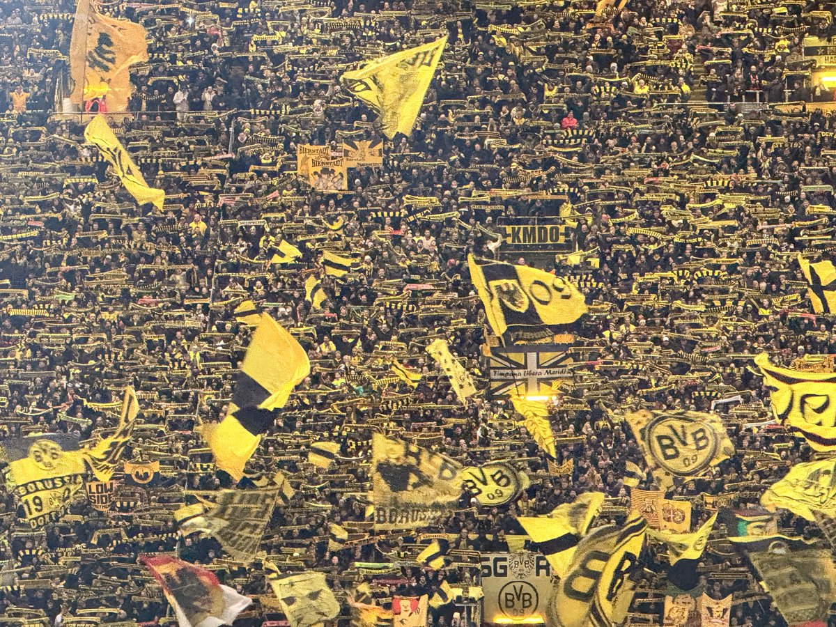 Jeroen Heijink tweet media