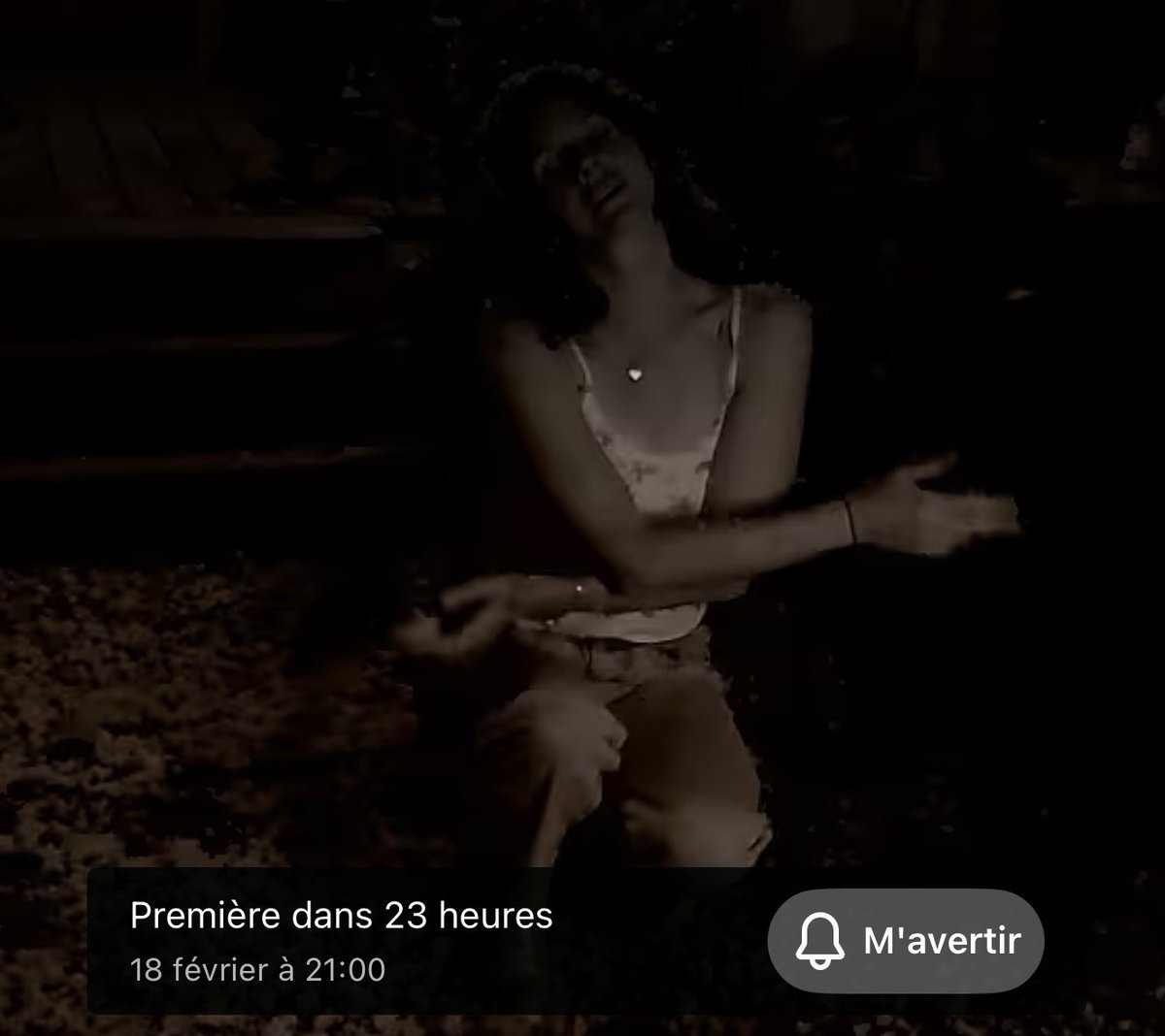 Lana Del Rey France tweet media