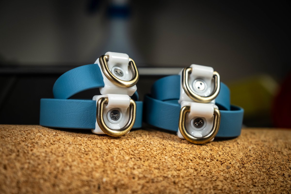 BeltBolt ⚡🔞 tweet media