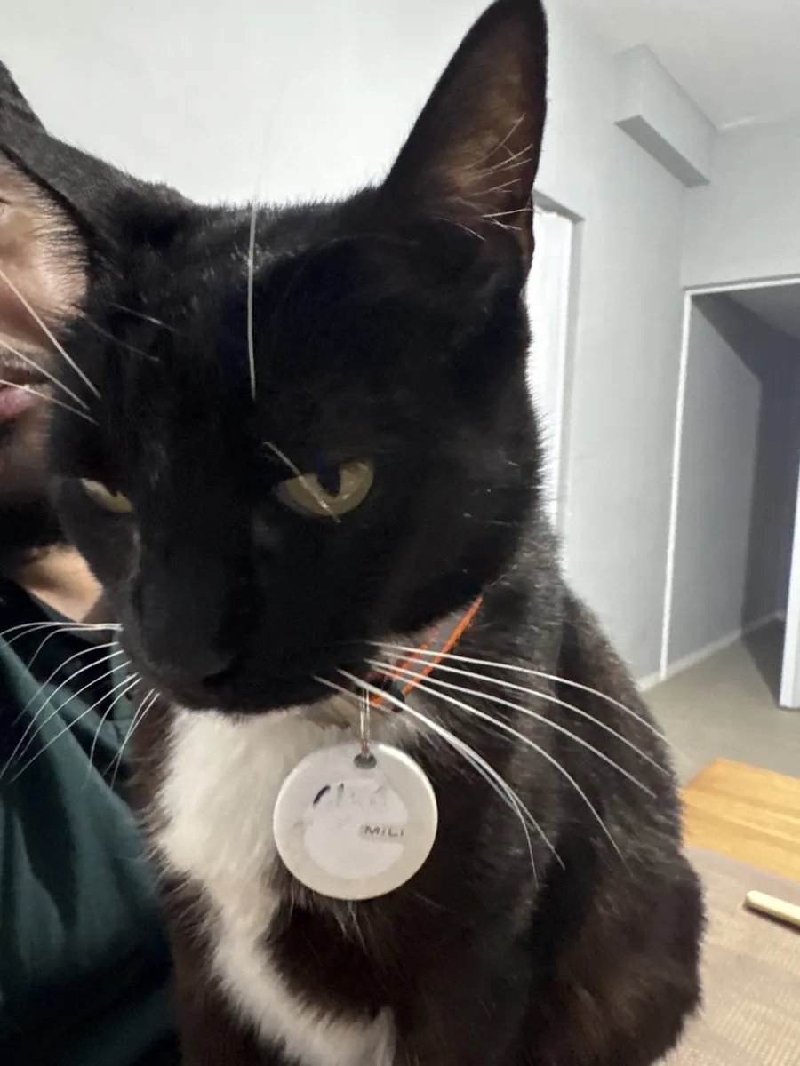 Ahorrando con Lean 🇦🇷 tweet media