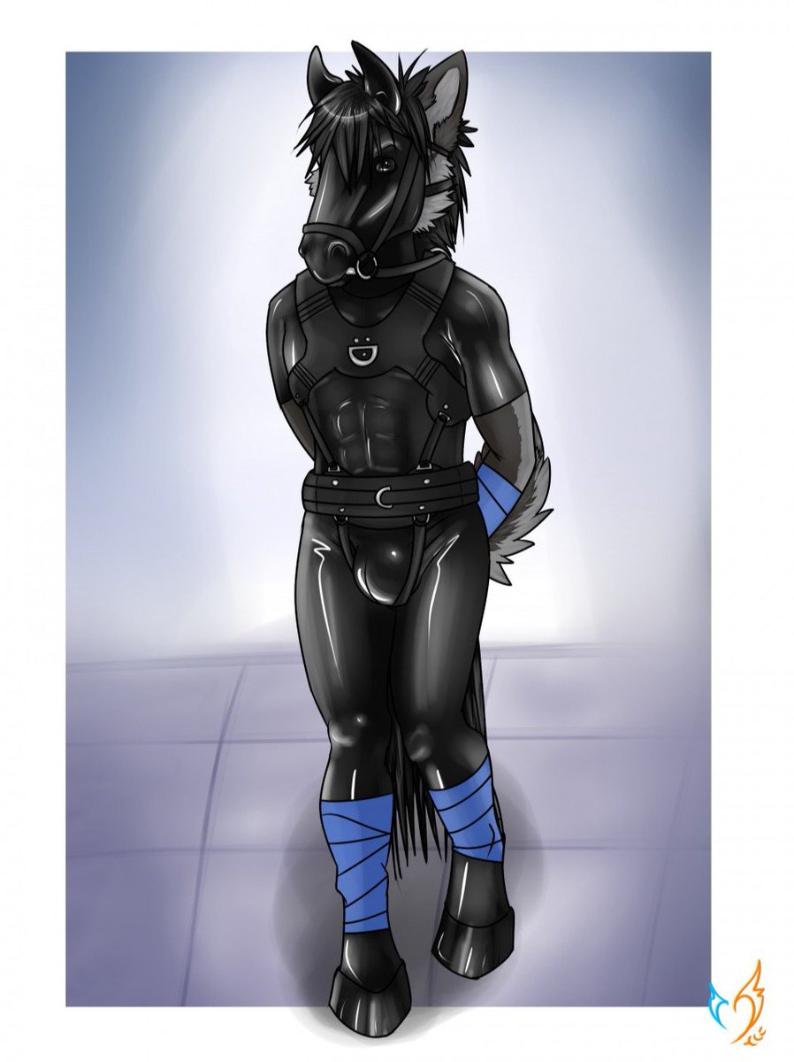 Tony Schaefer tweet media