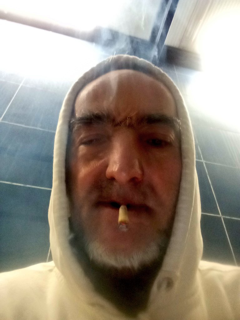 Pedro Pp tweet media