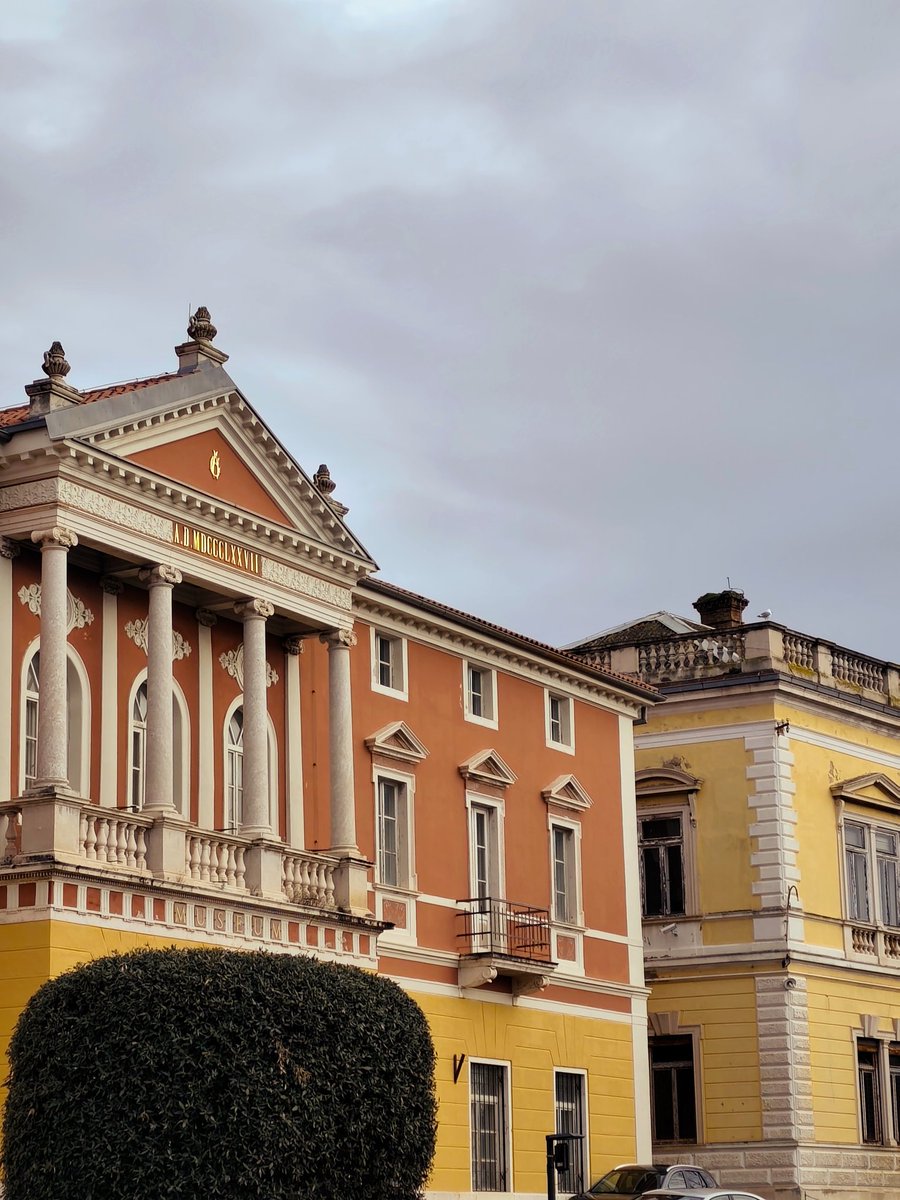 Елена Ременюк tweet media