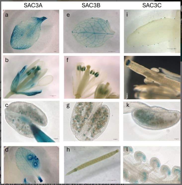 Plant Direct Journal tweet media