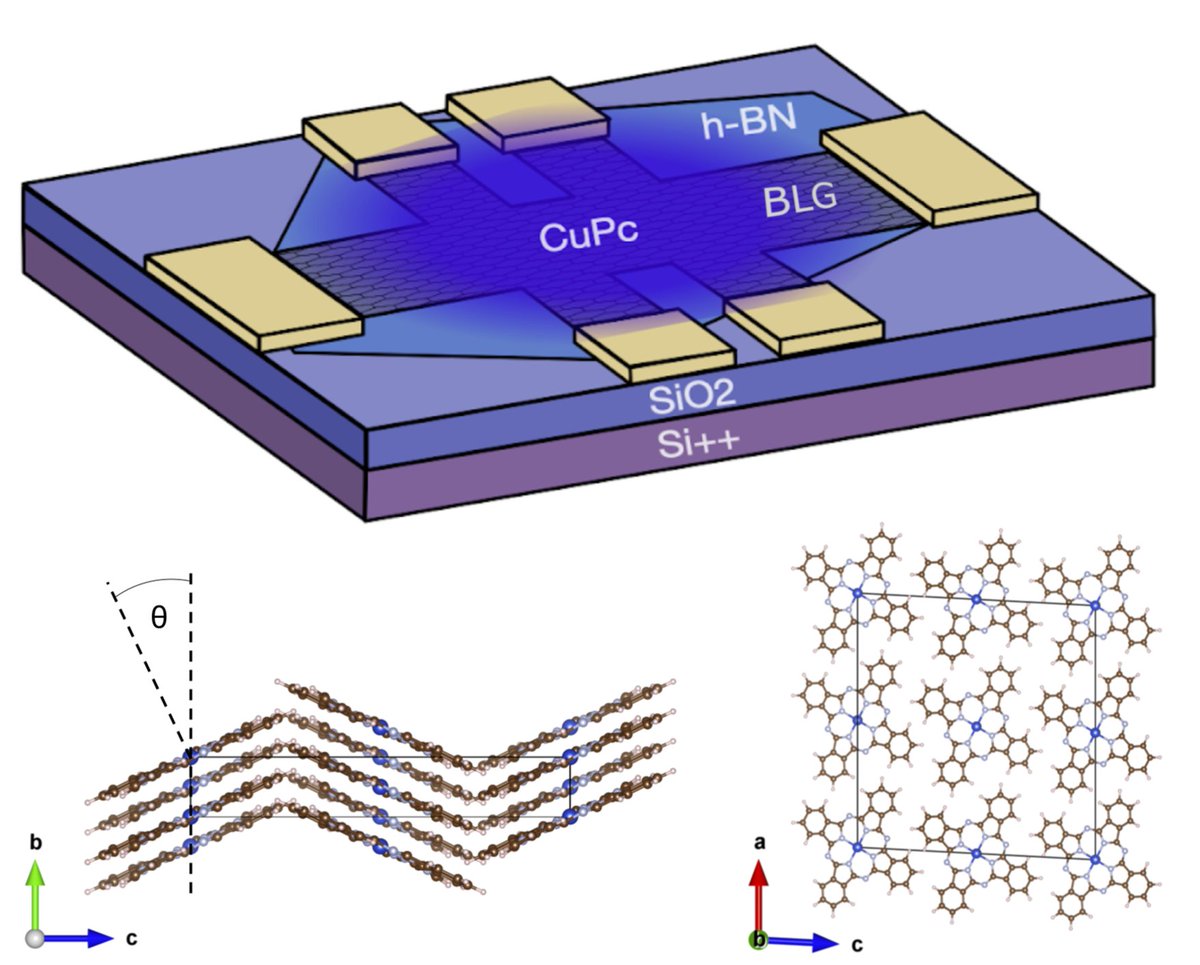 BioPACIFIC MIP tweet media