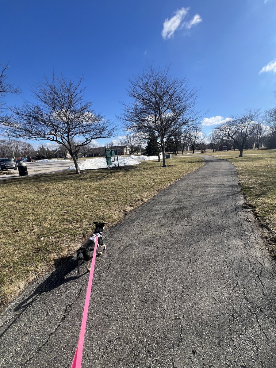 fishersparks tweet media