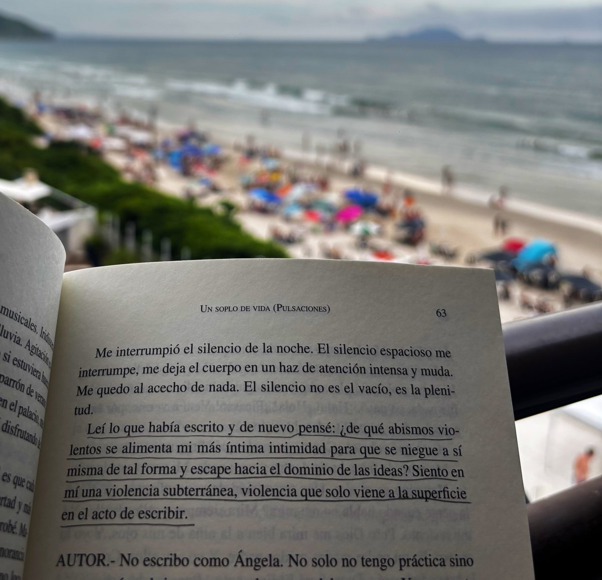 “Siento en mí una violencia subterránea, violencia que solo viene a la superficie en el acto de escribir”.

Clarice Lispector