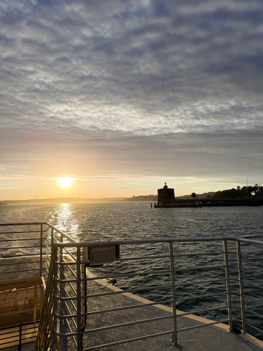 Andrew Dowson tweet media