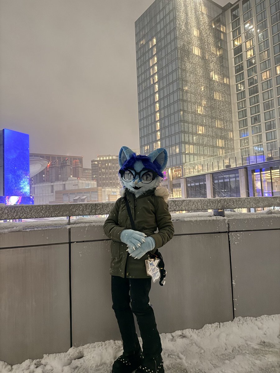 midnight boston snow
#kemonofursuit