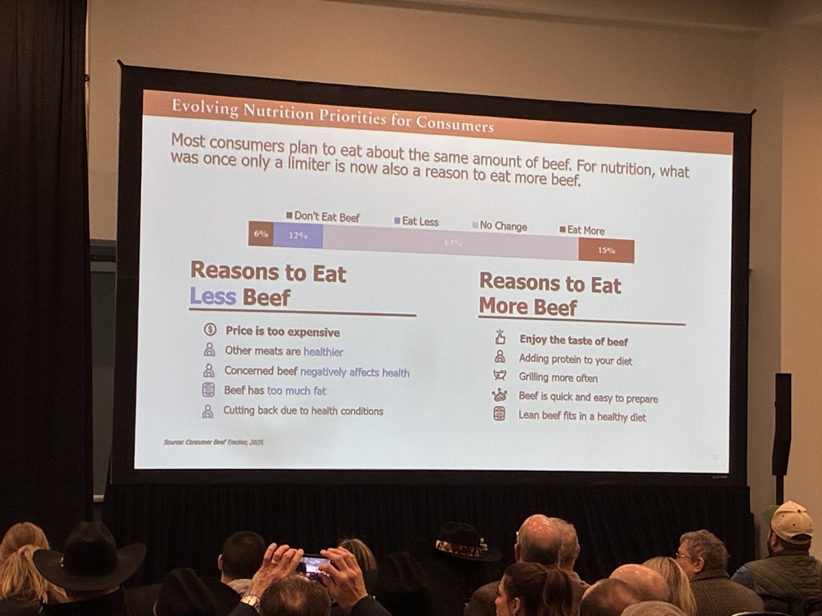 Catalyst Ventures Consulting tweet media