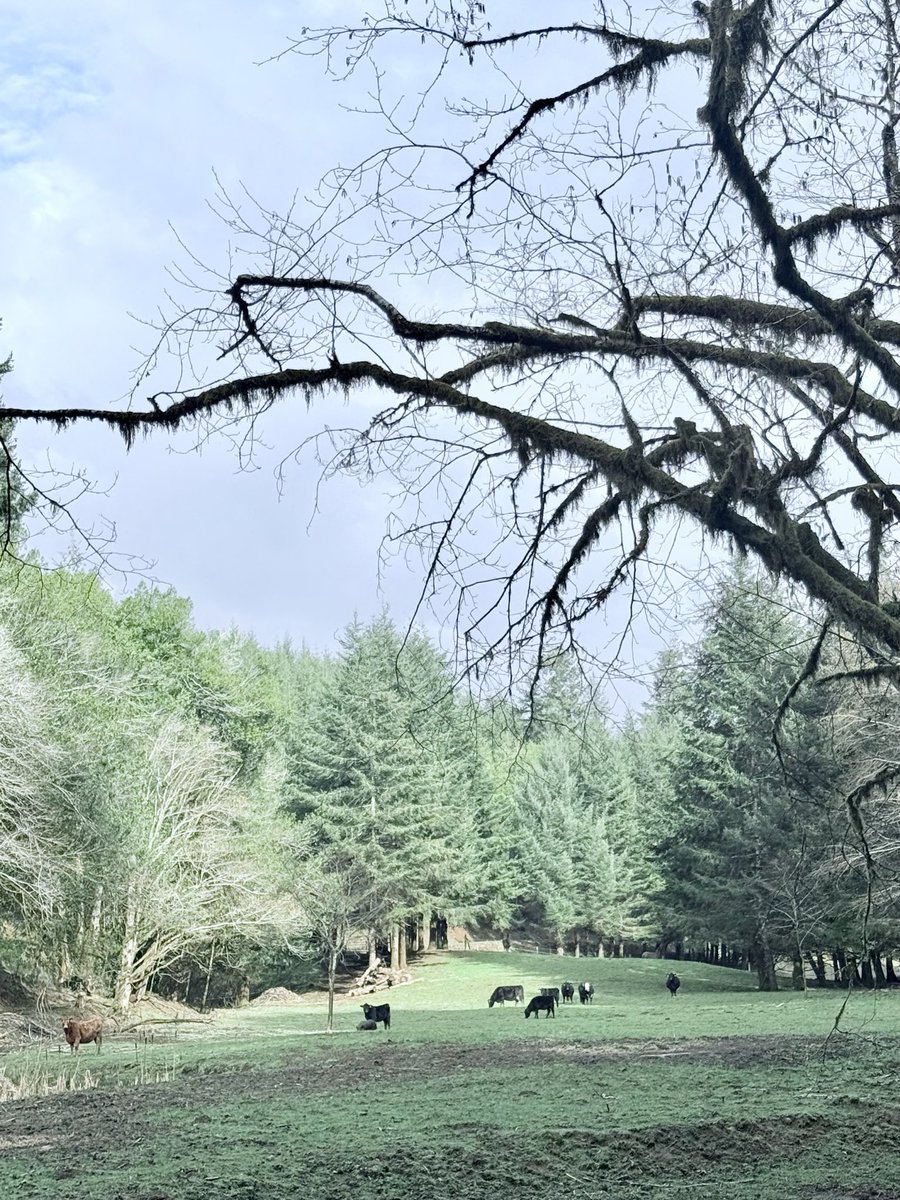 Saw the writing on the wall when they doubled the money supply during Covid and put most of my savings into land and cattle.  When paper money is worthless people will still need to eat.