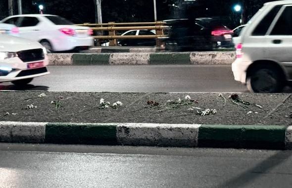 کل این شهر عزادار دست گلایی که با هزار امید و آرزو به خاک سپردنشون
وکیل آباد مشهد💔