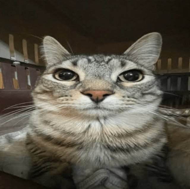 Needless_84's tweet image. Follow me and reply “FB”
I’m online and following back fast.