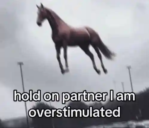 Nick Khami tweet media