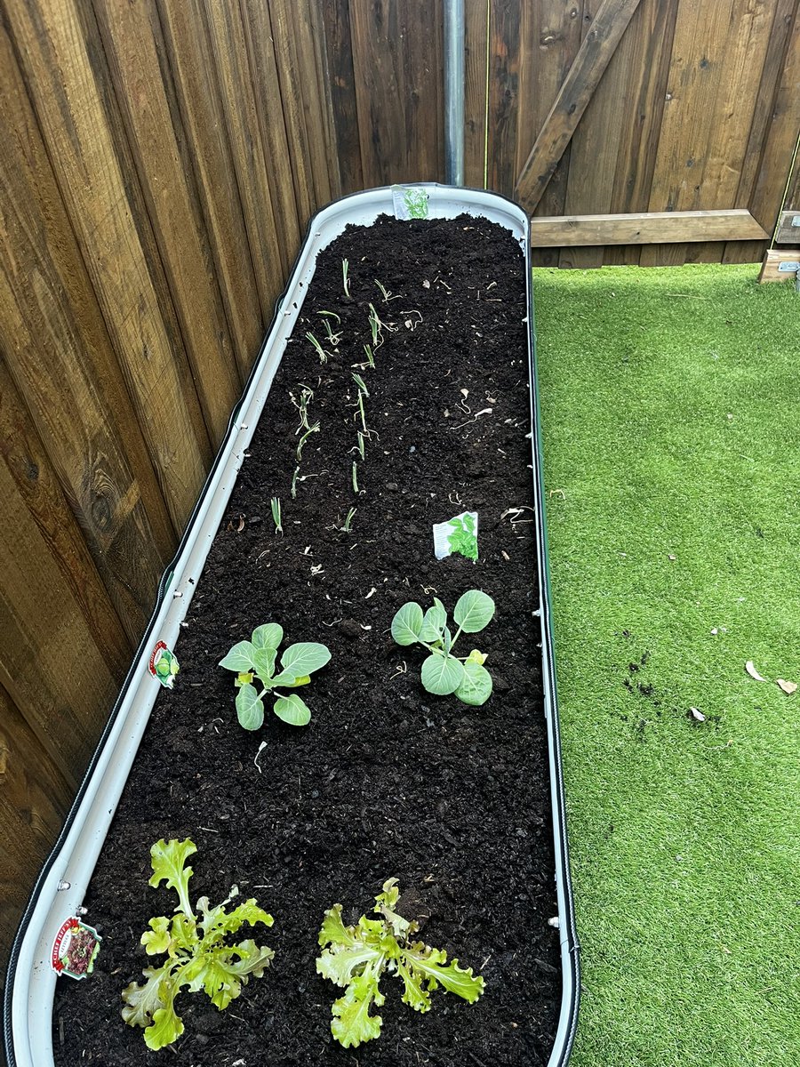 Savannah Davis tweet media