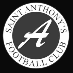 AntsLadiesFC tweet media