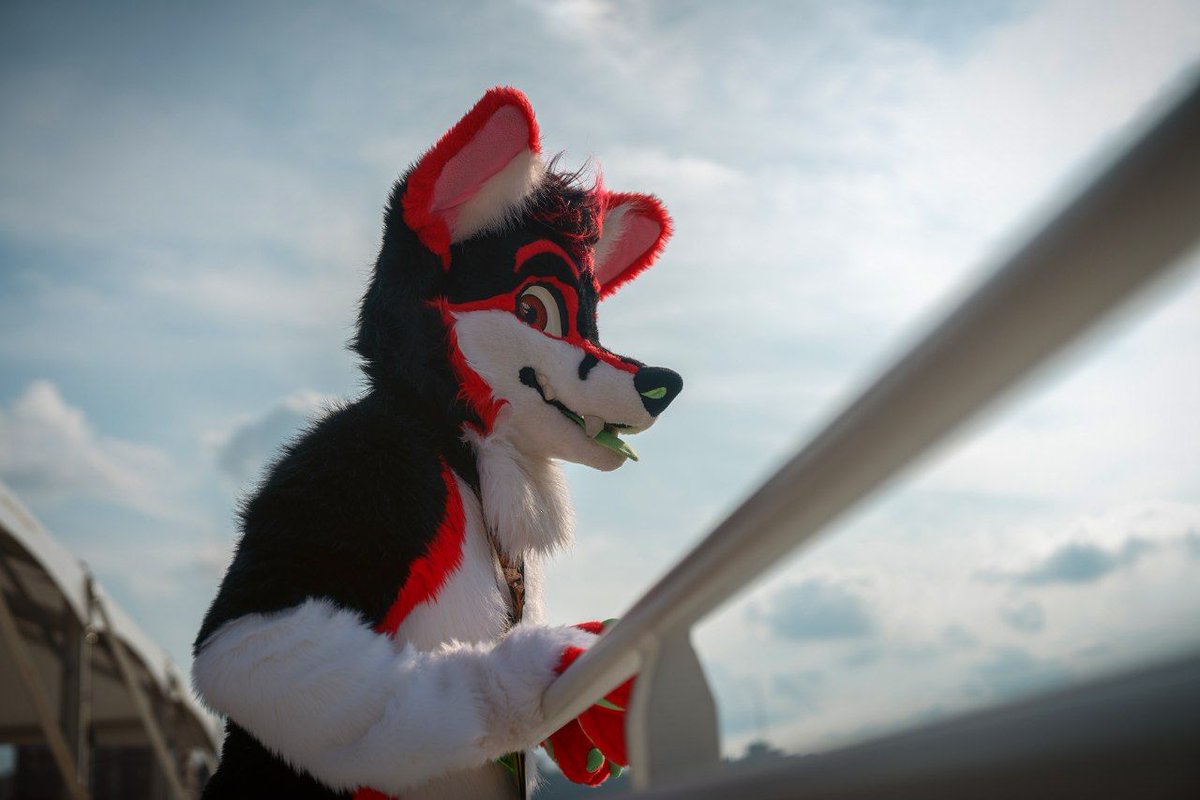 Fallout Reynard tweet media