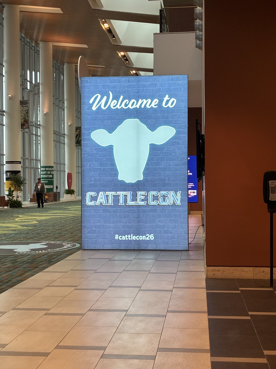 Catalyst Ventures Consulting tweet media