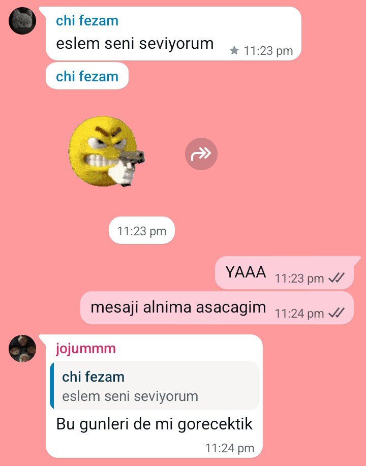 bugunleri gordugume inanamiyorum bana ilk kez seni seviyorum dedi napacagimi bilemeyip mesaji favoriledim