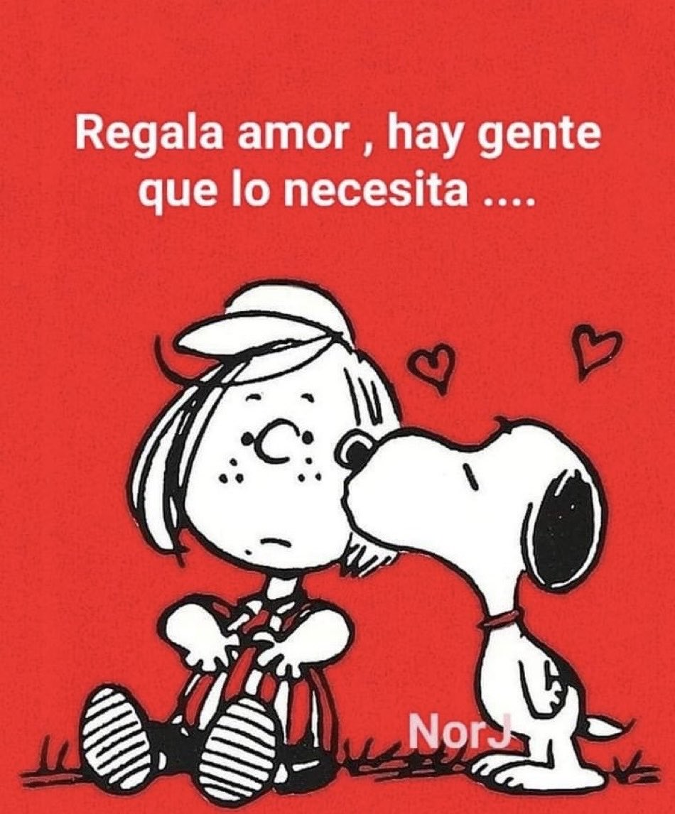 CLAUDIA T.FLORES tweet media