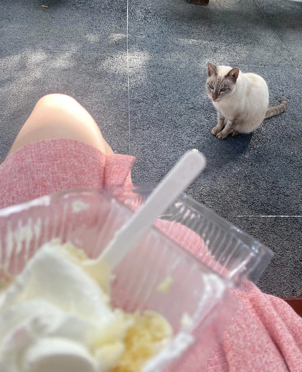 Berry💞 tweet media