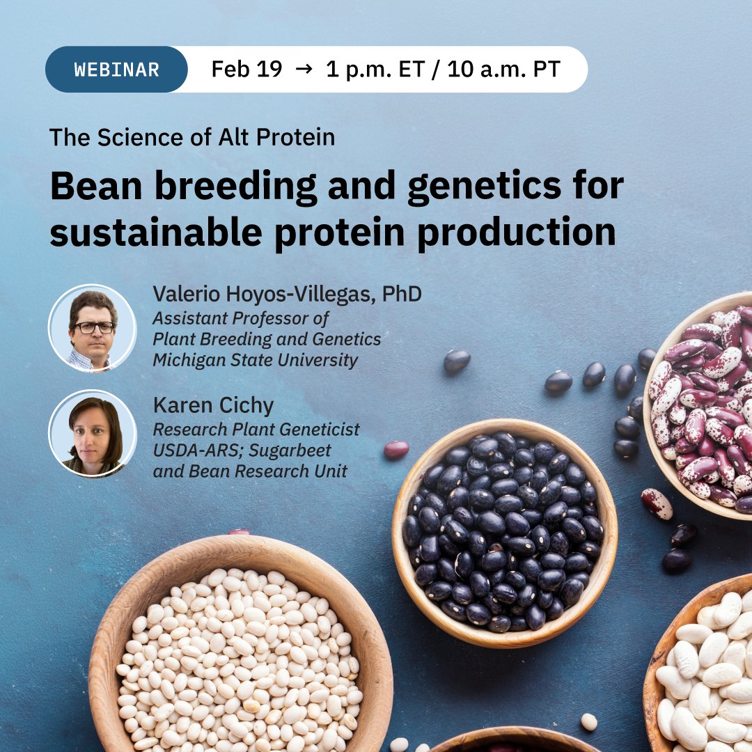 Good Food Science 🔬 tweet media
