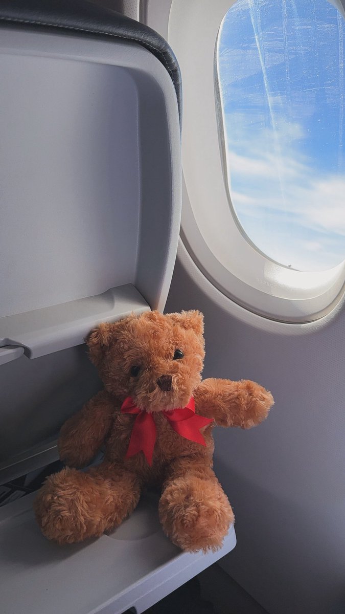 Luchito fue mi compañero de viaje hoy, que comience esta aventura 🧸🚀