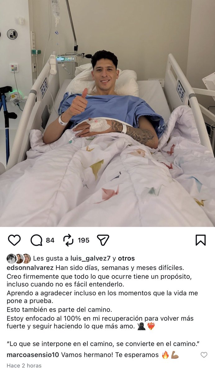 Alonso Basurto tweet media