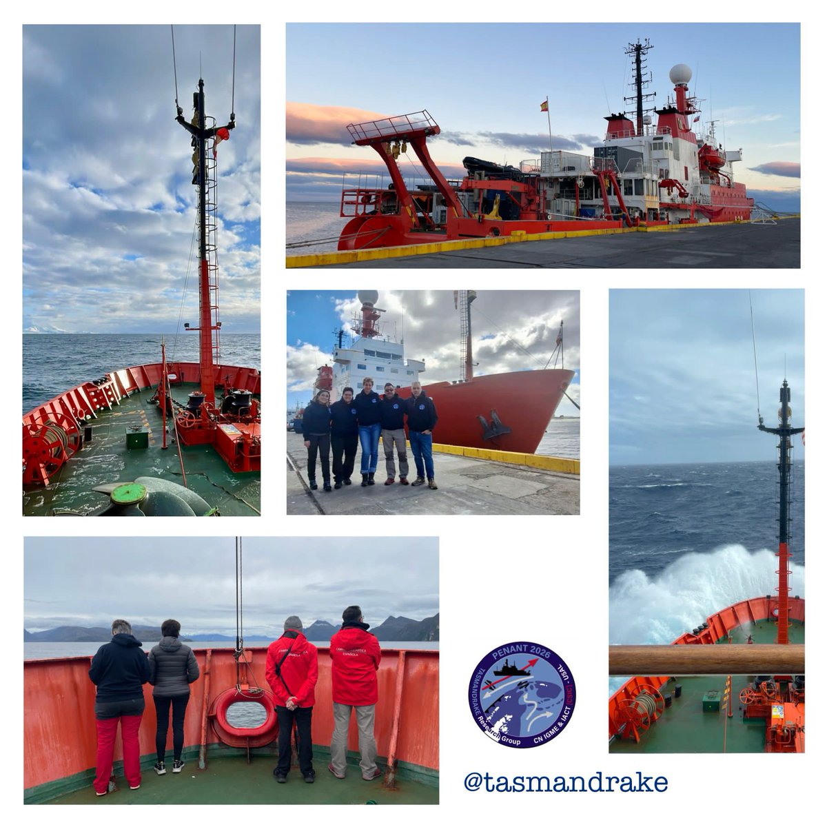 TASMANDRAKE tweet media